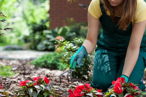 Residents tending to a community garden in Kensington